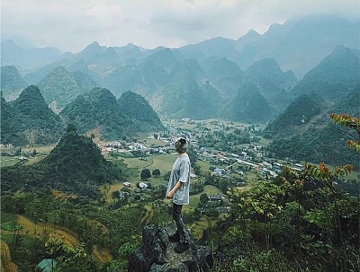 Explore the beauty of Yen Minh Pine Forest in Ha Giang, Vietnam